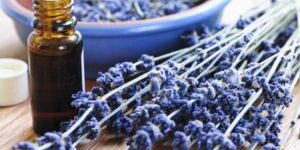 Aromatherapy message